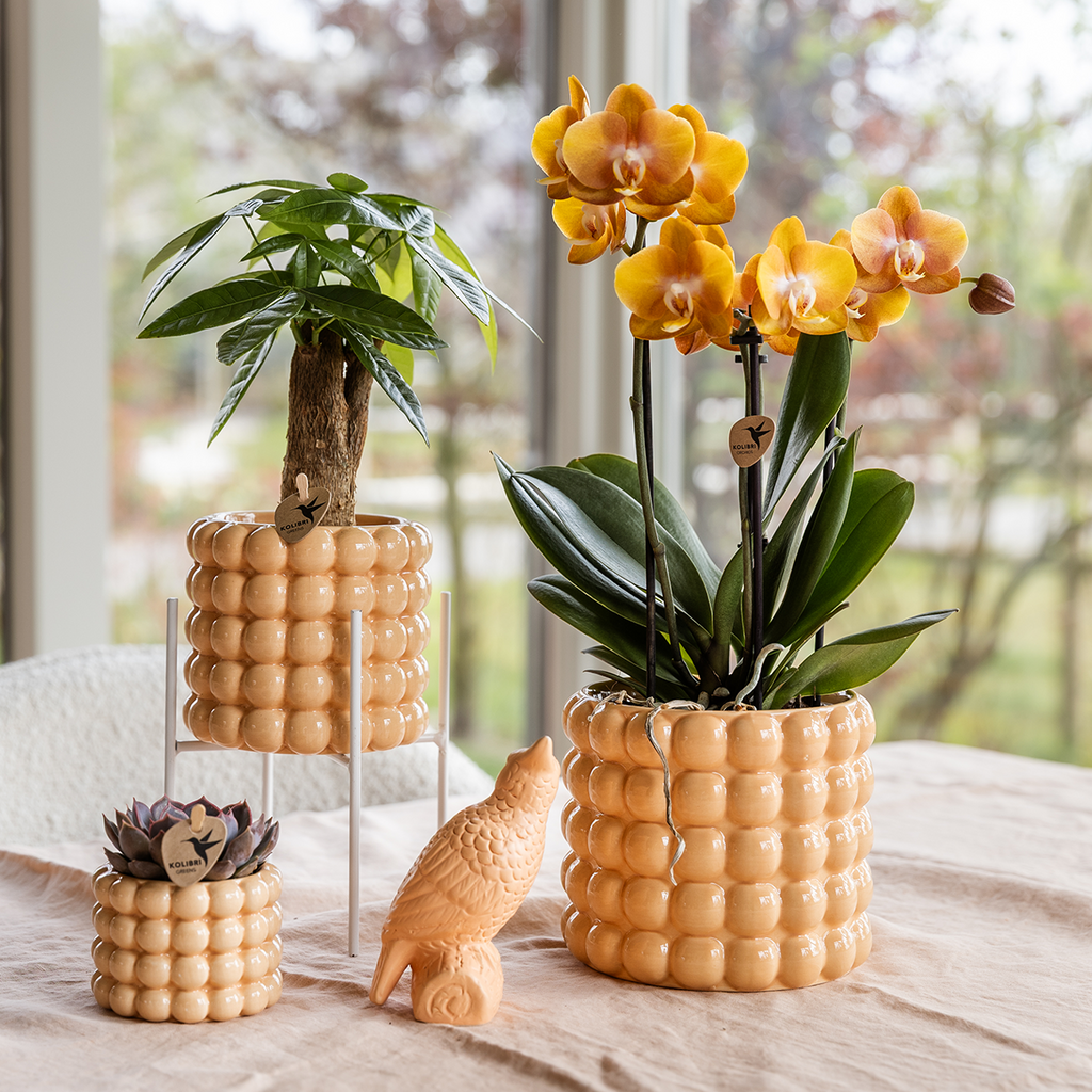 Ziertopf Poppy – Peach – Ø9cm – Moderner Keramik Blumentopf in glänzendem Pfirsichton – Stilvoller Übertopf für Zimmerpflanzen, Sukkulenten & Orchideen